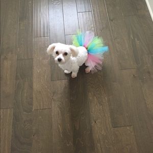 Meet your Posher, Lachel